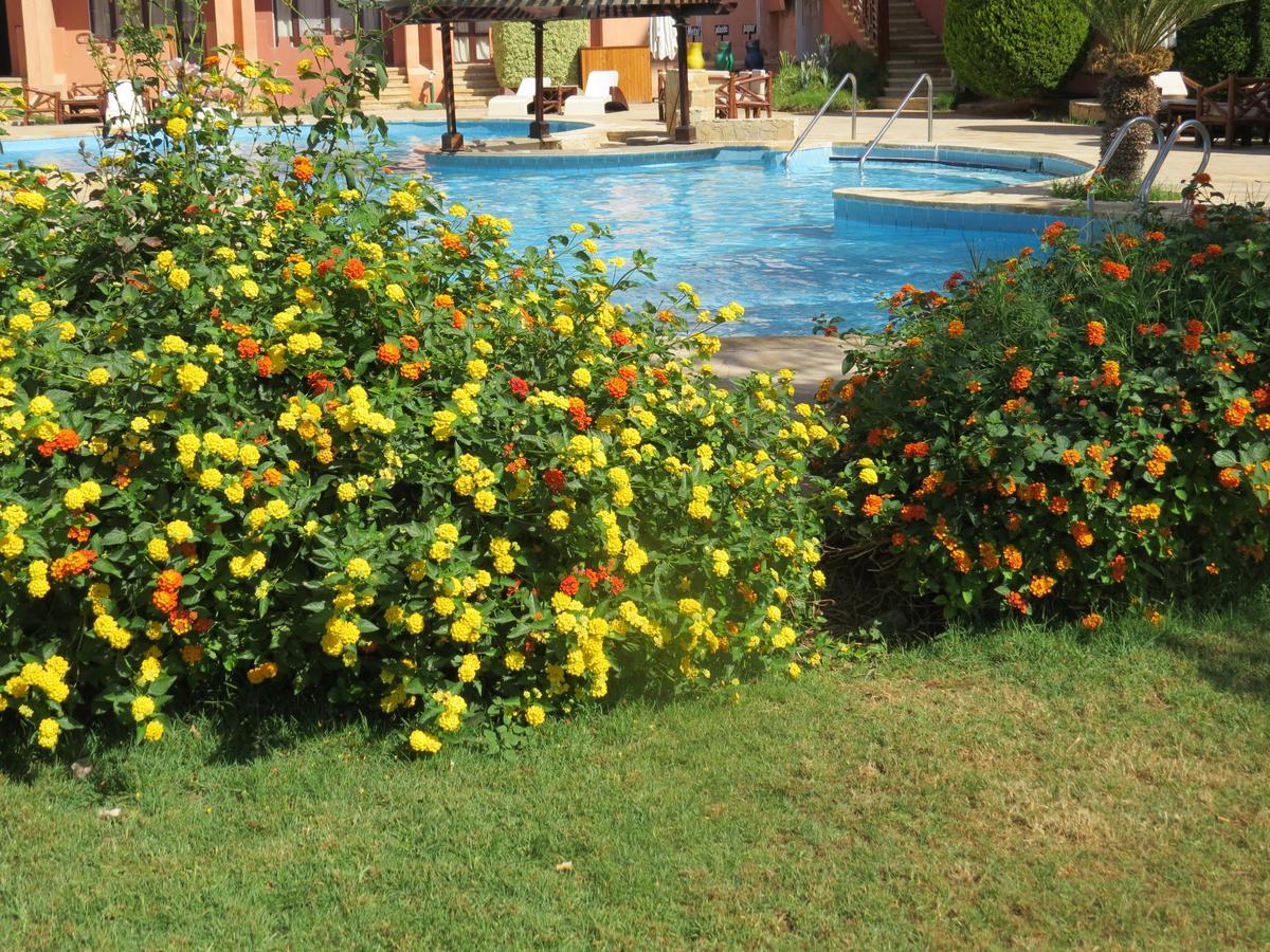 Africana Hotel & Spa Qaryat Shakush Dış mekan fotoğraf